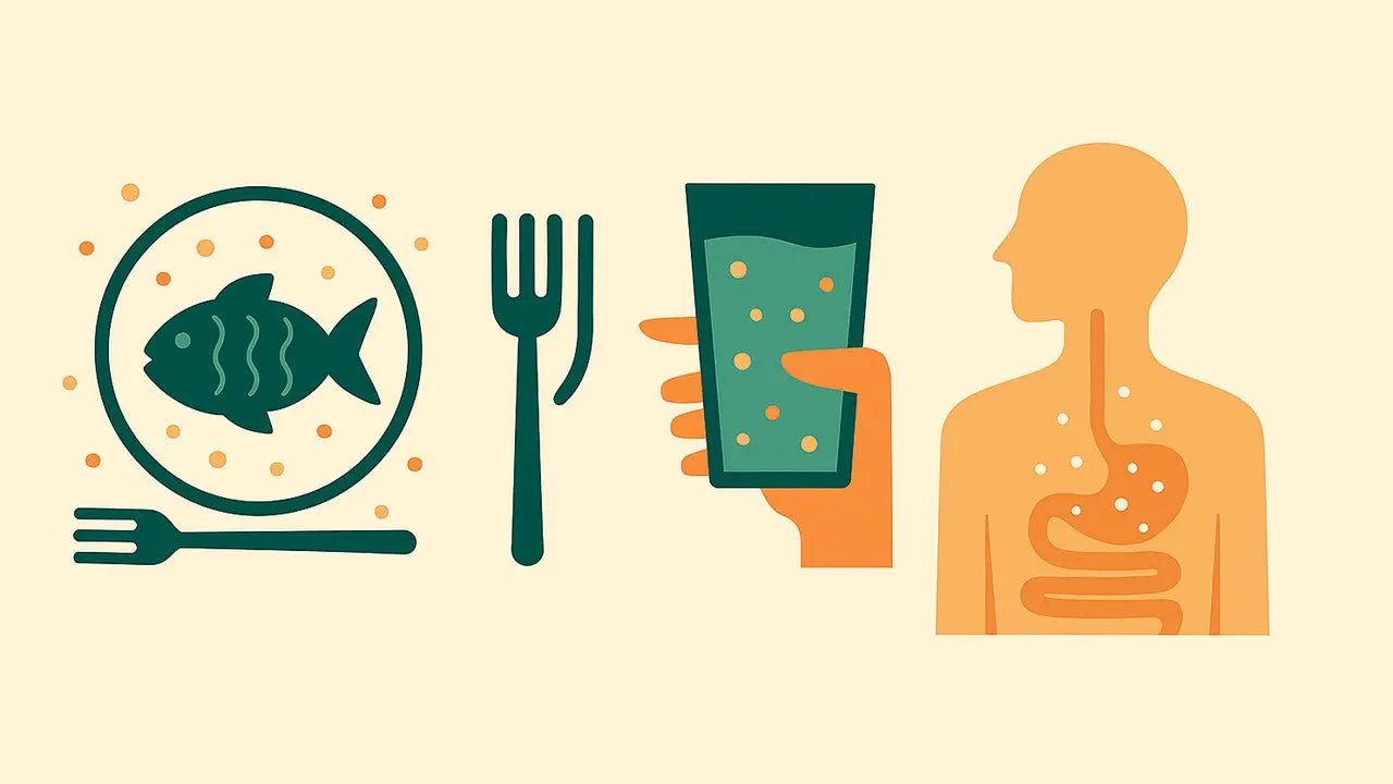 Polyester and Nylon : Chemical Exposure Pathways and Effects - Namarie