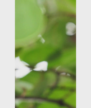 #petal